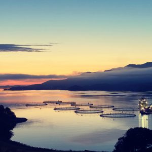 Maritime aquaculture operations at twilight in a calm fjord.