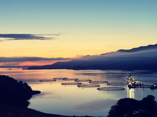 Maritime aquaculture operations at twilight in a calm fjord.